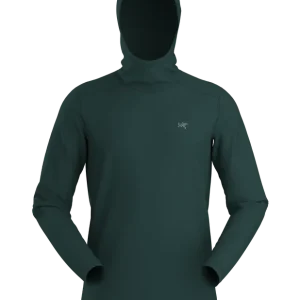Markenware Arc‘teryx Ionia Hoody Pytheas