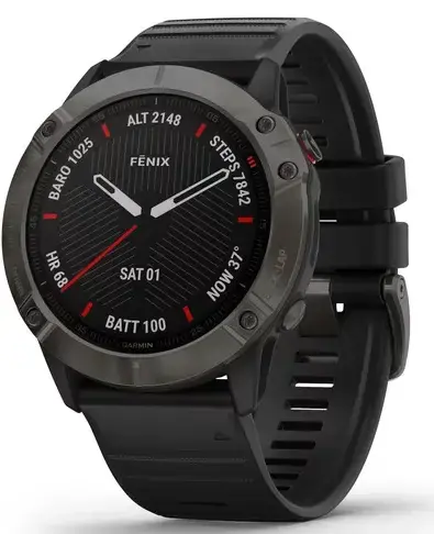 Garantierte Lieferung Garmin Fenix 6X Sapphire