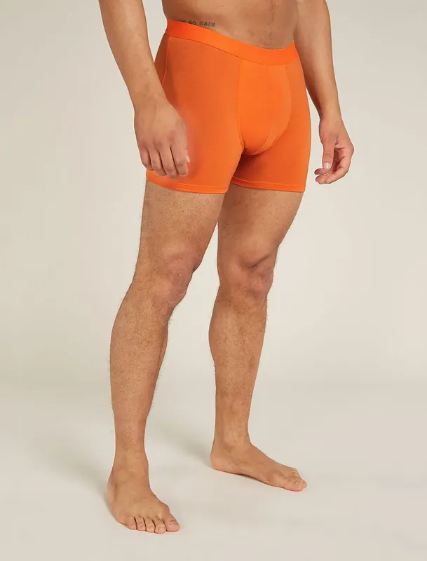 Icebreaker 150 Anatomica Boxers Men - Blaze Super-Preis