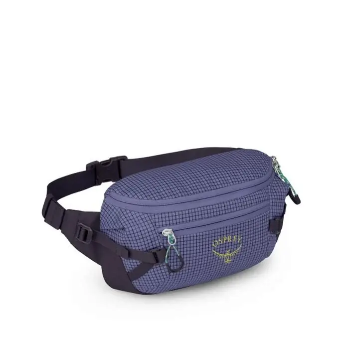 Beliebt Osprey Transporter Waist Pack - Euphoria Purple