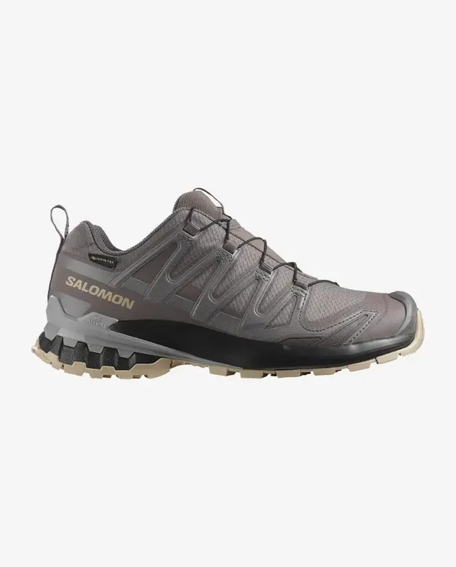 Salomon XA Pro 3D V9 GTX W Plum Kitten/black Garantierte Lieferung