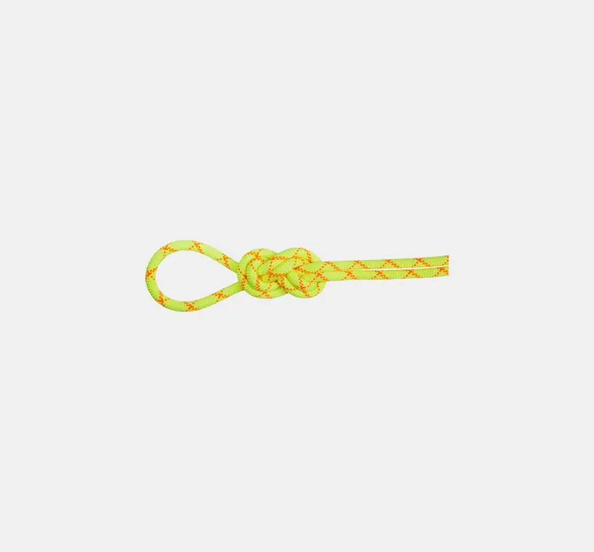 Mammut 9.5 Alpine Core Protect Dry Rope Zertifiziert