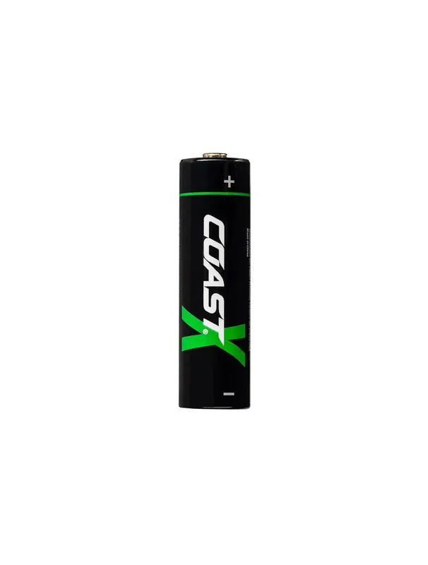 Coast Zithion X Akku AA 2400mAh USB C 4Stk. Top-Preis