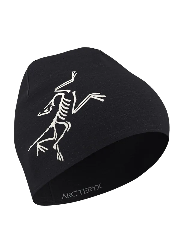 Arc‘teryx Satoro Merino Toque Black/Arctic Silk Mega-Angebot