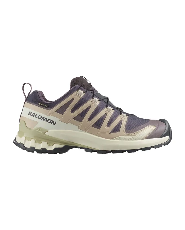 Meistverkauft Salomon XA PRO 3D V9 GTX W 9 Iron/Oxford