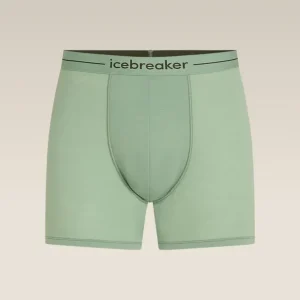 Icebreaker 150 Anatomica Boxers Sea Glass Nur Heute