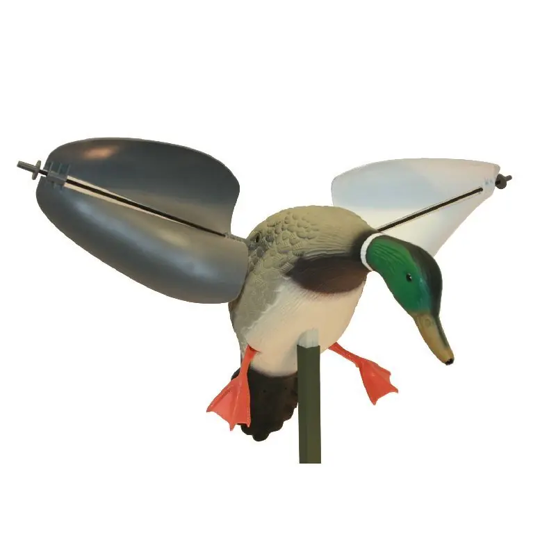 Wochenendangebot MOJO Wind Duck