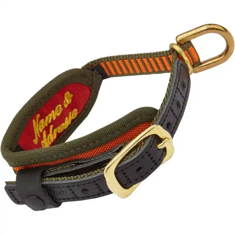 Neuheit Niggeloh Hundehalsung DeLuxe orange oliv