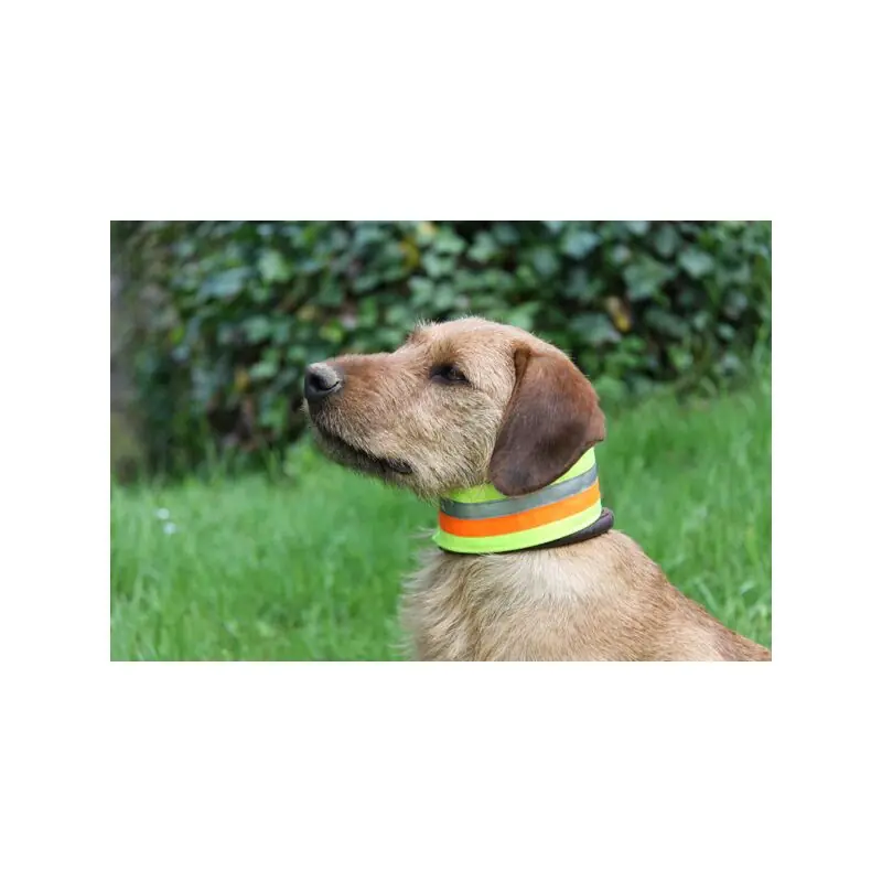 AKAH Hundehalsband reflektierend Heißes Angebot