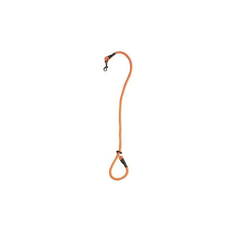 Farm-Land Beileine Pirsch orange Sale