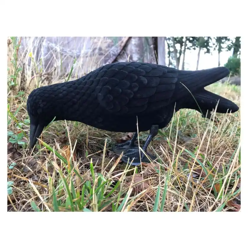 Lockkrähe pickend, beflockt 39cm Ausverkauf