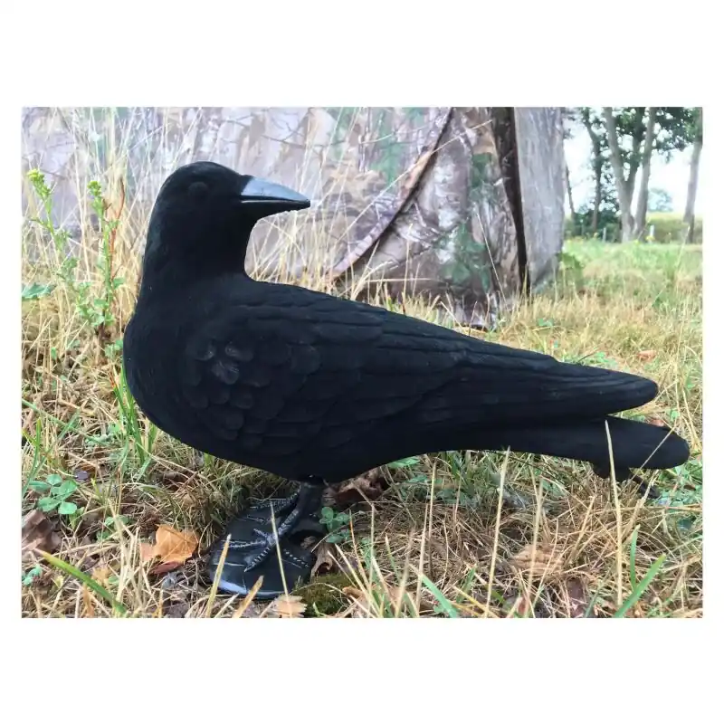 Lockkrähe herumschauend, beflockt 33cm Neuheit