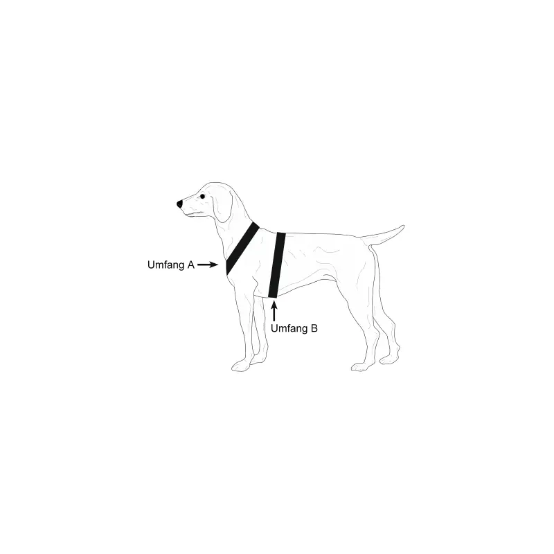 Top-Angebot Niggeloh Hundegeschirr Follow Start