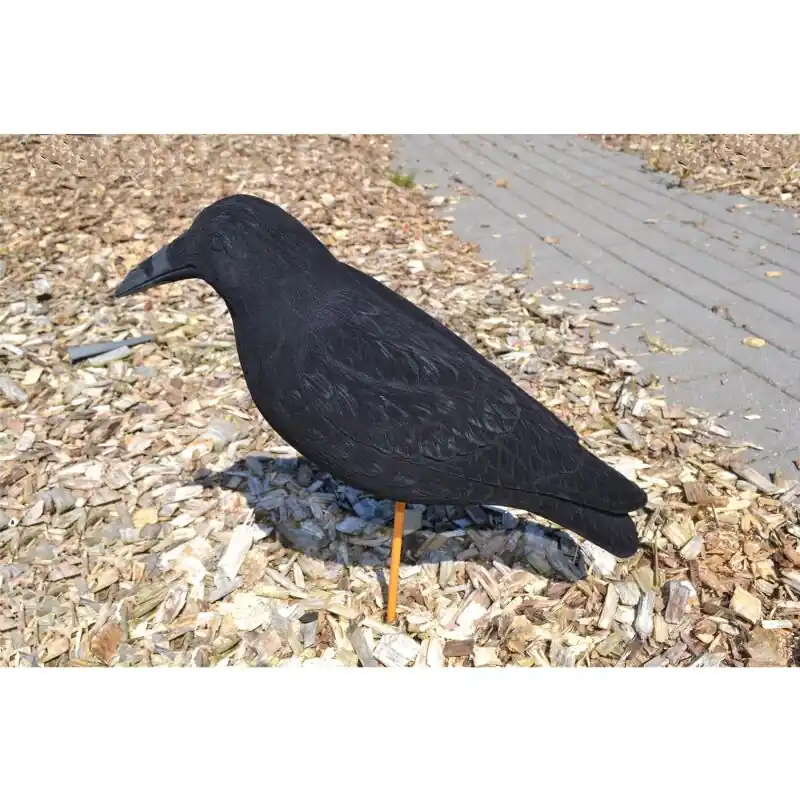 Sonderaktion Lockkrähe beflockt Riesenkrähe Magnum 50cm