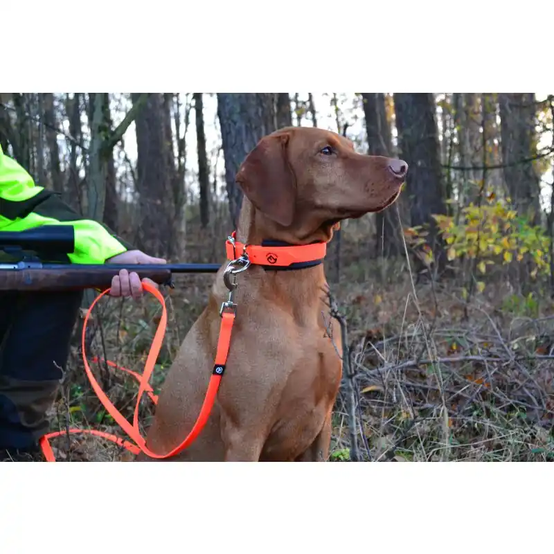 Neu Im Sortiment Farm-Land Hunde Schweißhalsung Signalorange