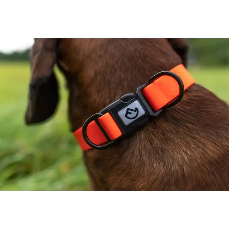 Farm-Land Halsband Verstellbar Signalorange Meistverkauft