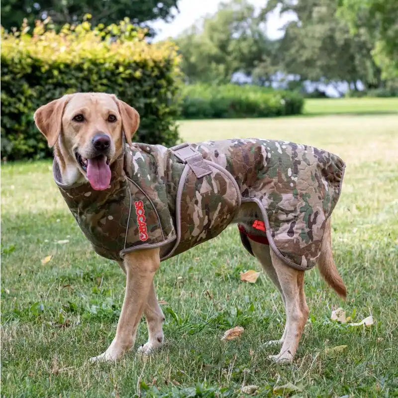 Siccaro Hundemantel Outdoor Spirit 2.0 Top-Preis