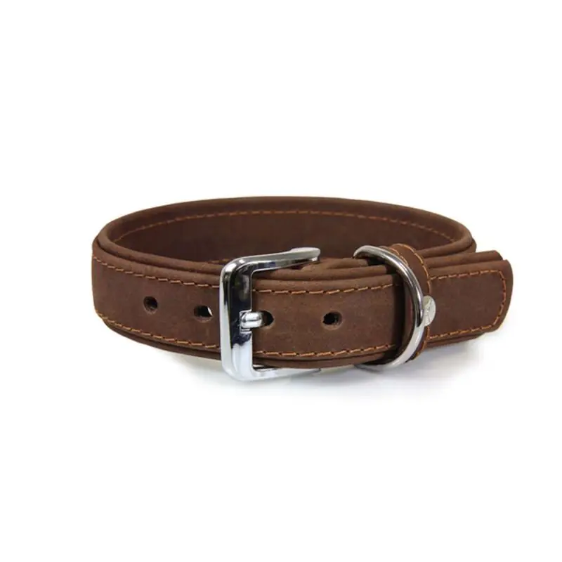 Das Lederband Hundehalsband Boston Mocca Sofort Bestellen