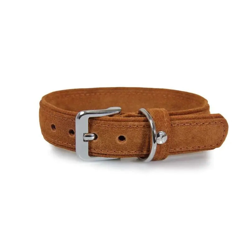 Das Lederband Hundehalsband Toronto Cognac Aktuell