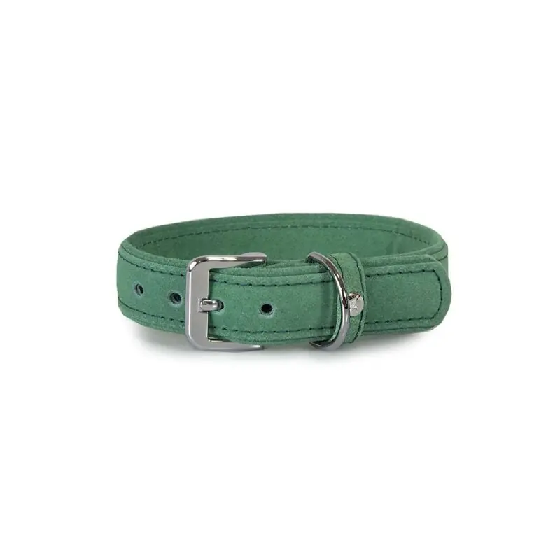 Das Lederband Hundehalsband Toronto Leaf Green Kracherpreis