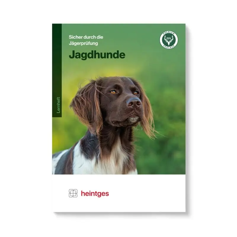 Begrenztes Angebot Heintges Arbeitsblätter Jagdhunde