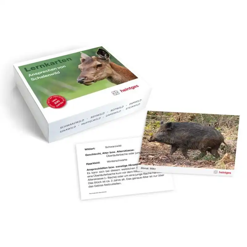 Preis Gesenkt Heintges Lernkarten Ansprechen von Schalenwild