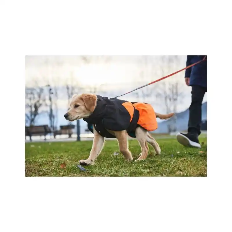 Nur Für Kurze Zeit Non-stop Dogwear Hundemantel Glacier Dog Jacket 2.0 Schwarz/Orange