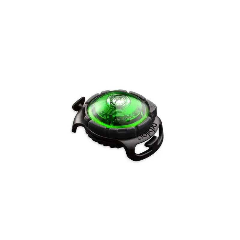 Orbiloc LED-Sicherheitslicht Dog Dual Grün Markenware