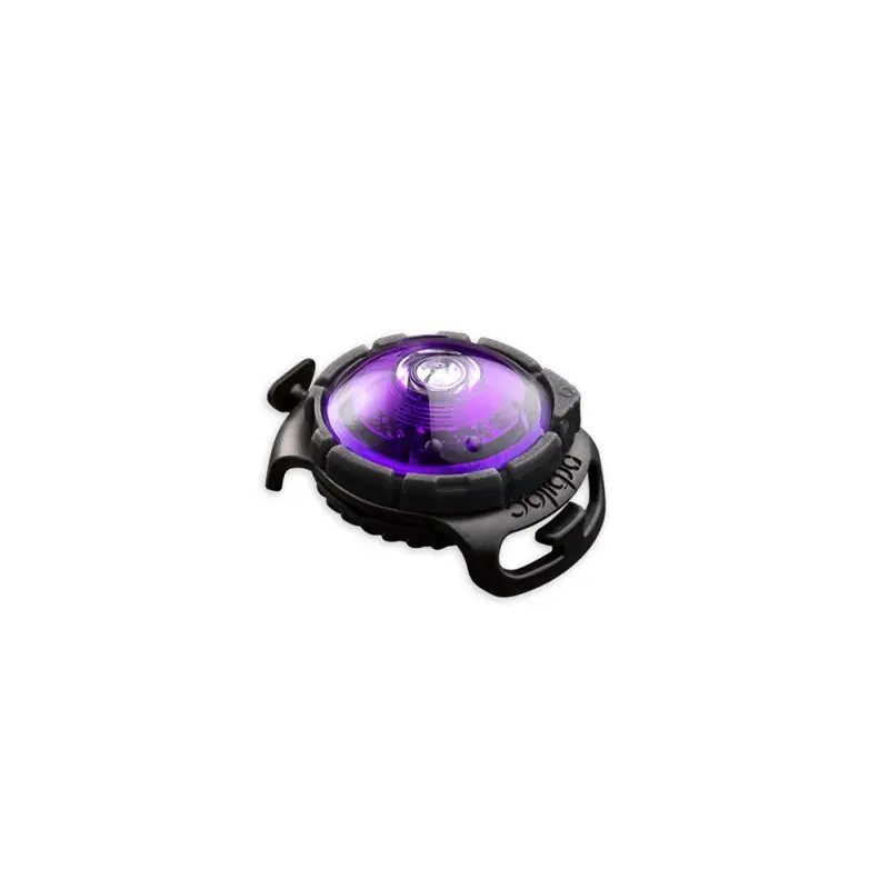 Orbiloc LED-Sicherheitslicht Dog Dual Lila Echt