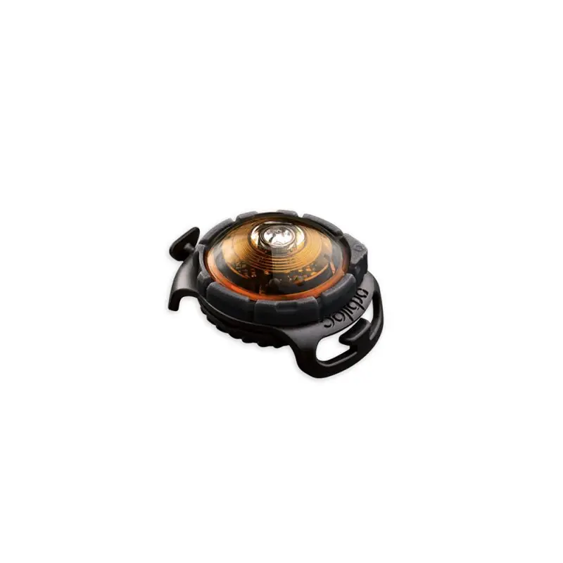 Orbiloc LED-Sicherheitslicht Dog Dual Amber Sonderaktion