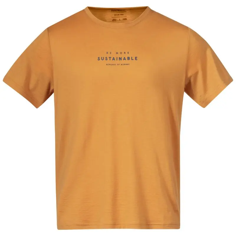 Kracherpreis Bergans Herren T-Shirt Graphic Wool Tee Golden Field