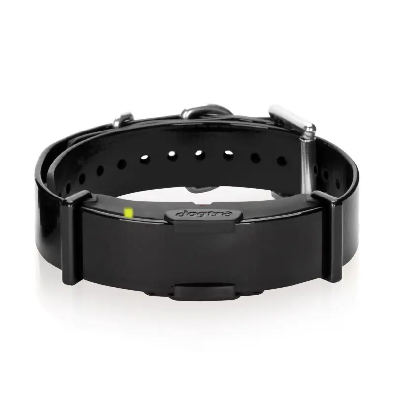 Saisonangebot Dogtra Zusatzhalsband für ARC 800