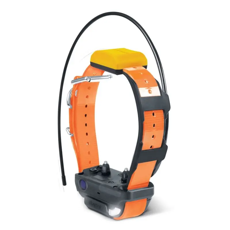 Neuheit Dogtra Zusatzhalsband für Pathfinder 2
