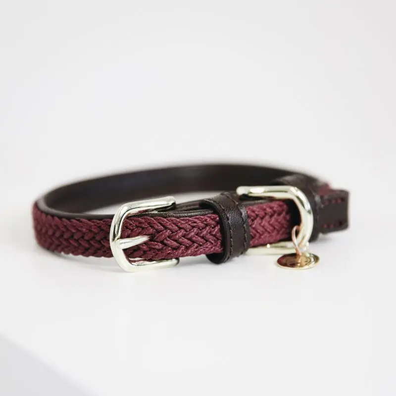 Saisonangebot Kentucky Dogwear Hundehalsband geknüpftes Nylon