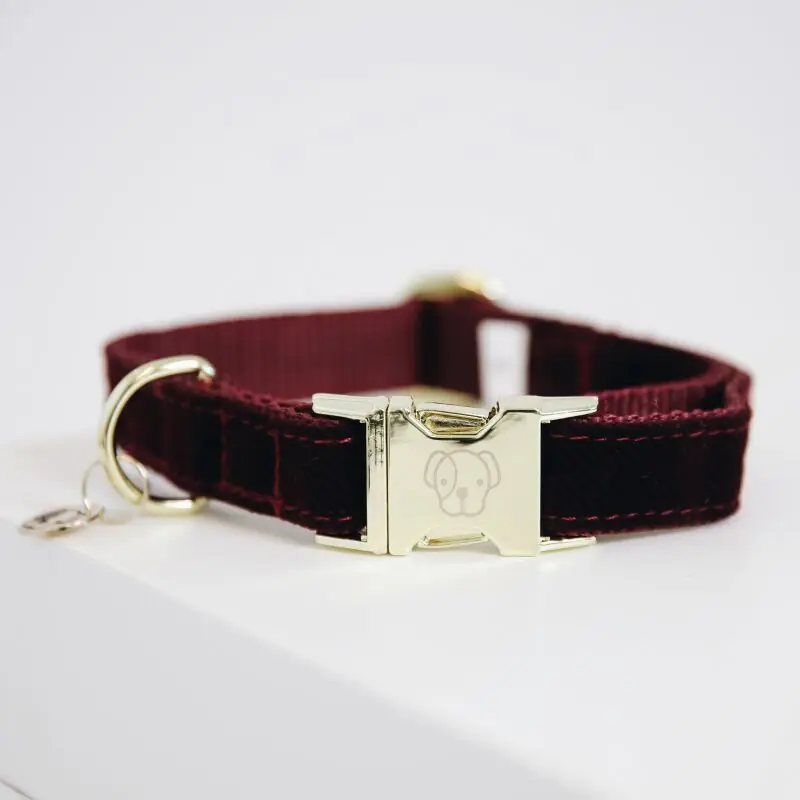 Aktuell Kentucky Dogwear Hundehalsband Corduroy