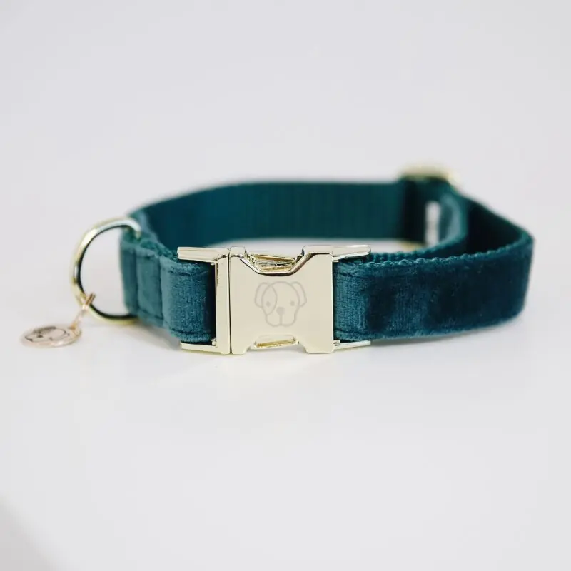 Saisonangebot Kentucky Dogwear Hundehalsband Velvet