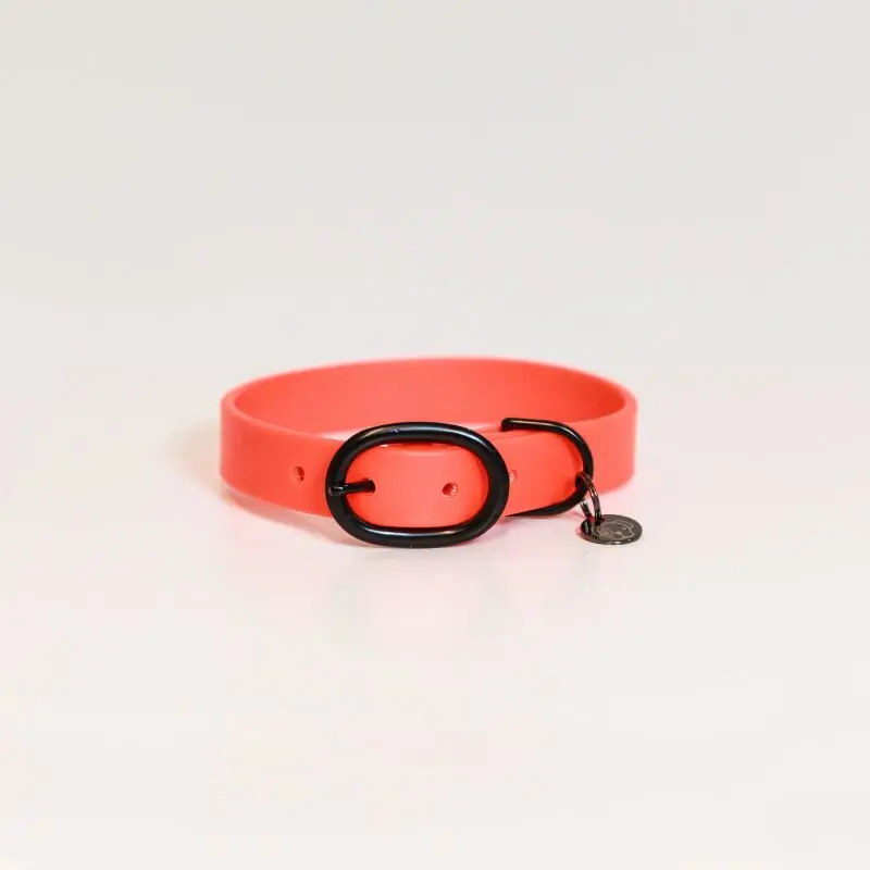 Kentucky Dogwear Hundehalsband Soft Rubber Geprüft