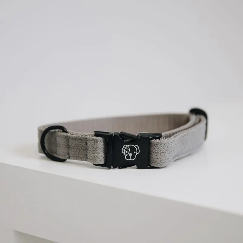 Kentucky Dogwear Hundehalsband Lizard Angebot