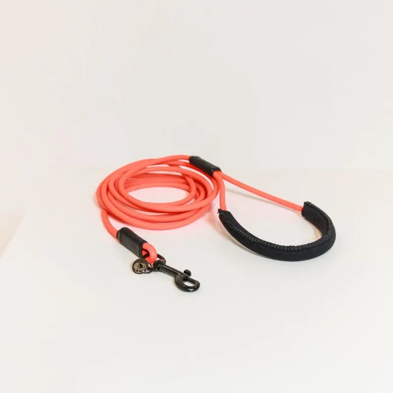 Nur Für Kurze Zeit Kentucky Dogwear Schleppleine Soft Rubber