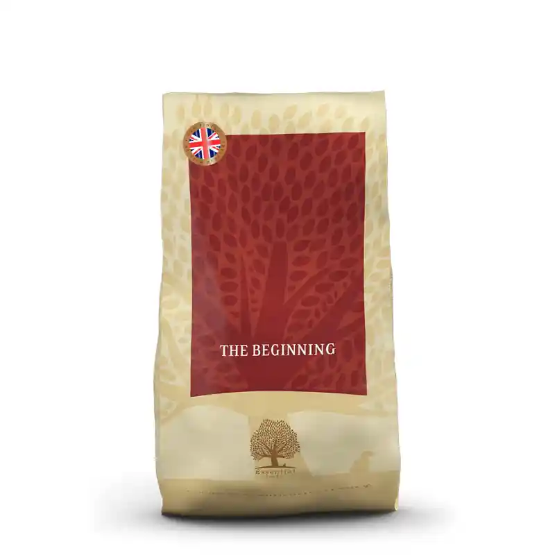 Saisonangebot Essential Foods Essential The Beginning