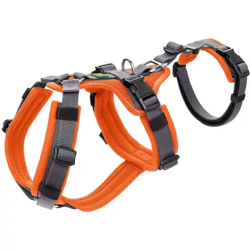Preiswert Hunter Hunde Sicherheitsgeschirr Maldon