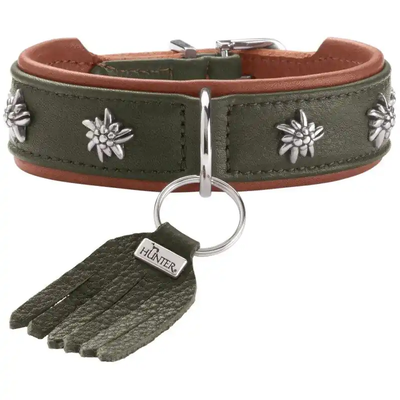 Sonderaktion Hunter Hunde Halsband München