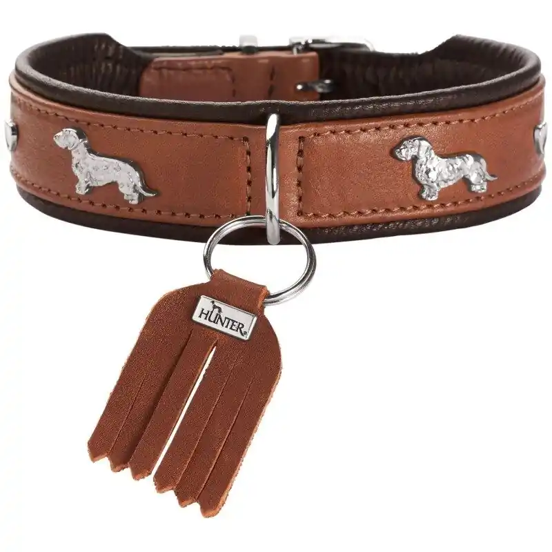 Nur Heute Hunter Hunde Halsband Teckel München