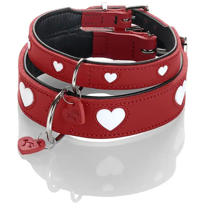 Hunter Hunde Halsband Love Zertifiziert
