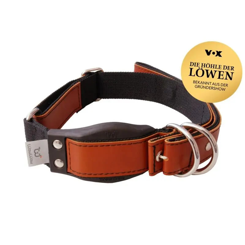 WowWow Hundehalsband mit integrierter Leine Leder Kastanienbraun Begrenztes Angebot