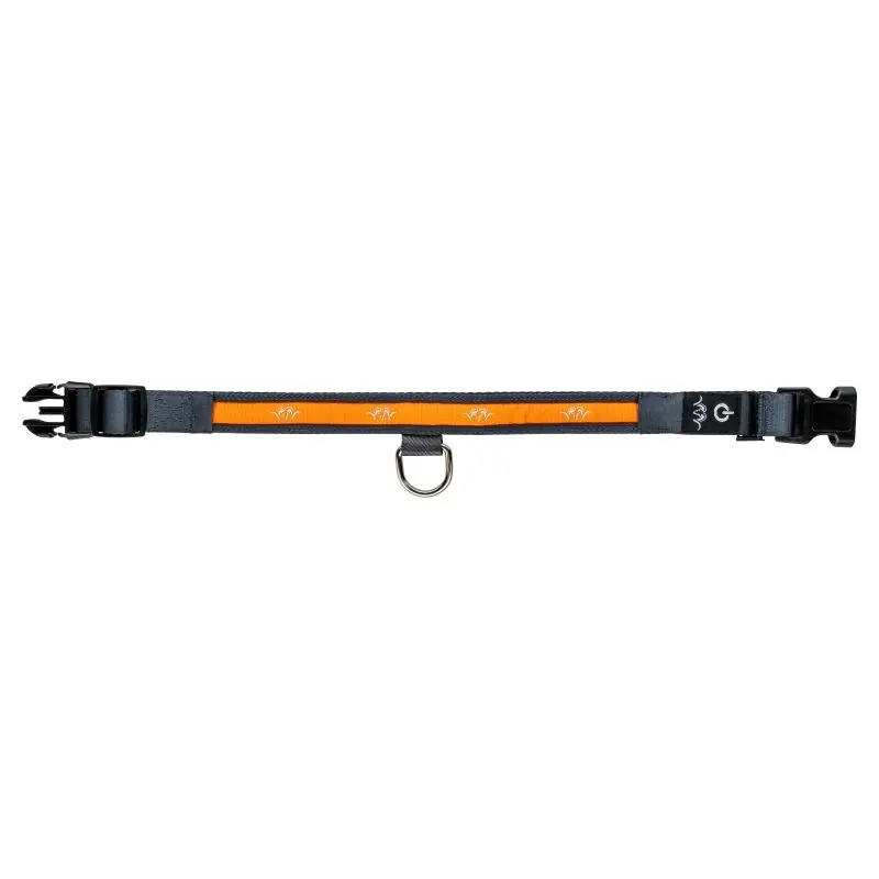Schneller Versand Blaser Hunde Halsband LED