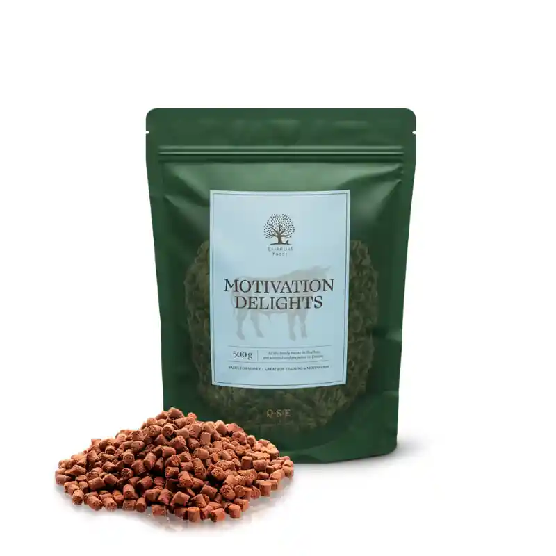 Sichere Zahlung Essential Foods Motivation Delights 500g