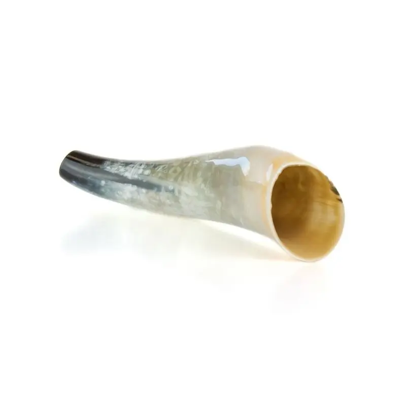 Letzte Chance Weisskirchen Ochsenhorn Hirschruf 40 cm