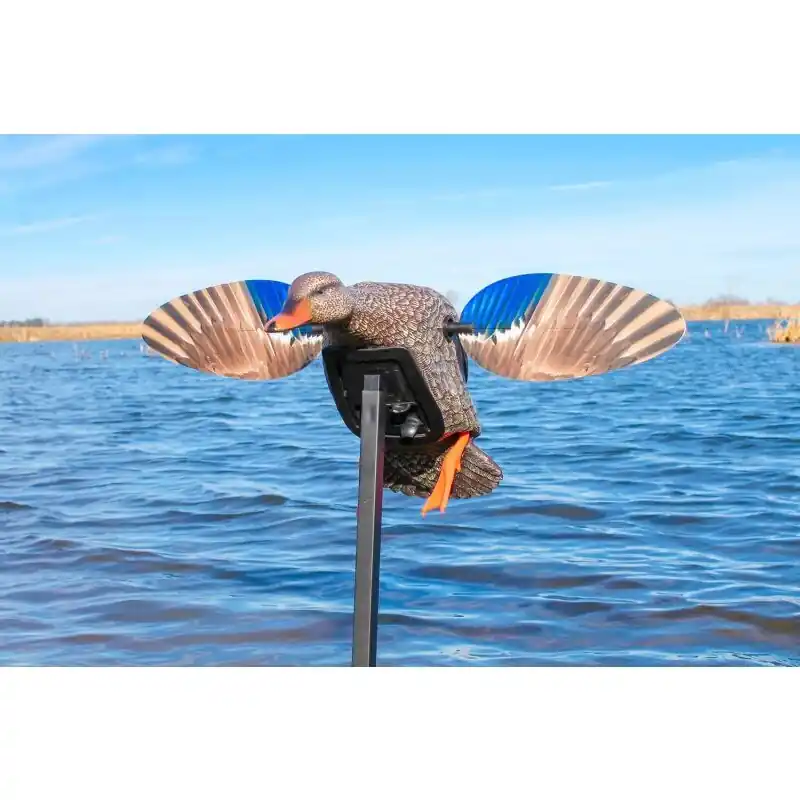 Preis Gesenkt MOJO Elite Series™ Mini Mallard Hen Lockente