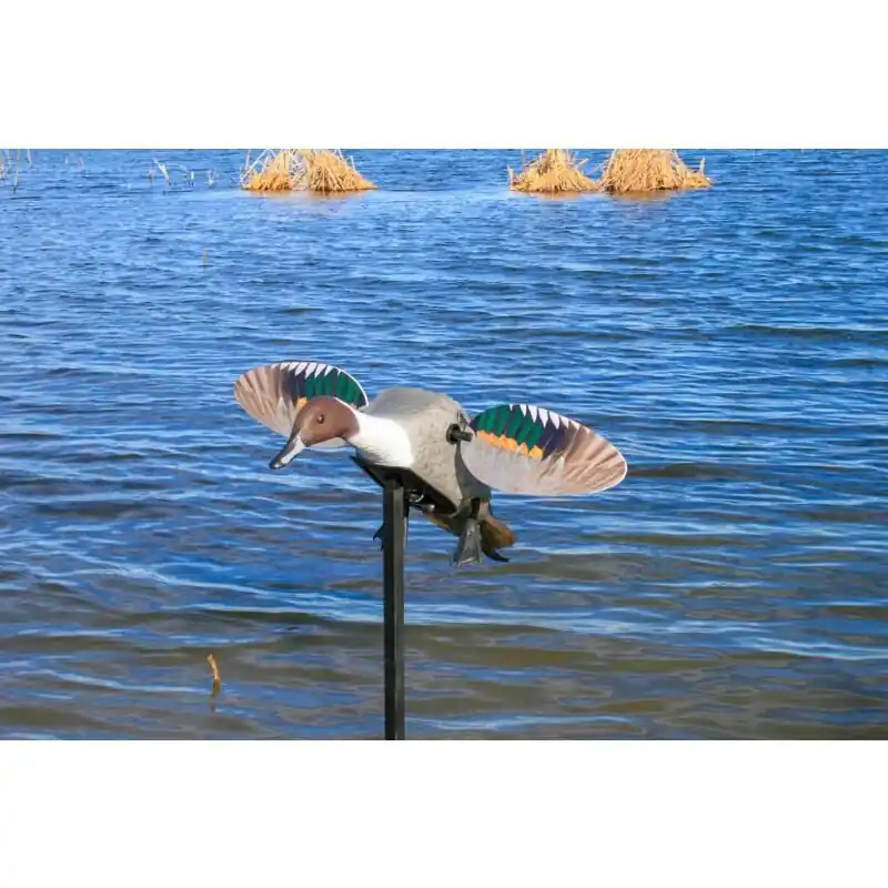 MOJO Elite Series™ Pintail Lockente Zertifiziert